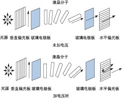 液晶 VOA 加電前后分子排列對比，展示偏振調控原理