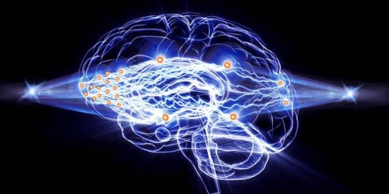 光腦神經(jīng)元網(wǎng)絡(luò)層級連接示意圖