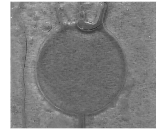 微流控光開關(guān)在實(shí)際應(yīng)用中的效果，包括不同流速下的遮光形態(tài)及透光/遮光對(duì)比  - 廣西科毅光通信